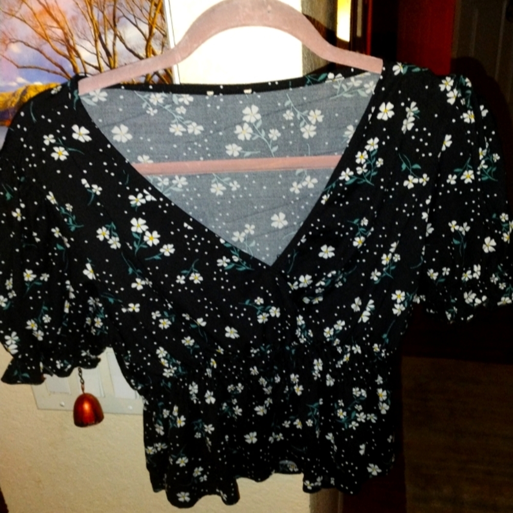 American eagle crop top